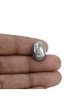 Natural Pyrite Cts 22.83 Ratti 25.1