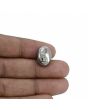 Natural Pyrite Cts 23.46 Ratti 25.8