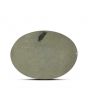 Natural Pyrite Cts 13.43 Ratti 14.76