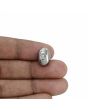 Natural Pyrite Cts 16.83 Ratti 18.5