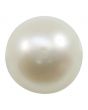 Fresh Water Pearl (Moti) 8.04 Carat 