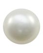 Fresh Water Pearl (Moti) 9.95 Carat 