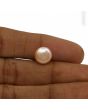 Fresh Water Pearl (Moti) 6.1 Carat 