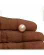 Fresh Water Pearl (Moti) 6.44 Carat 