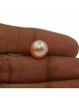 Fresh Water Pearl (Moti) 7.14 Carat 