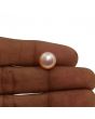 Fresh Water Pearl (Moti) 7.14 Carat 