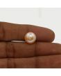 Fresh Water Pearl (Moti) 7.53 Carat 