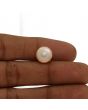 Fresh Water Pearl (Moti) 7.53 Carat 