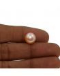 Fresh Water Pearl (Moti) 7.37 Carat 