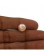 Fresh Water Pearl (Moti) 7.37 Carat 