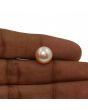 Fresh Water Pearl (Moti) 6.87 Carat 