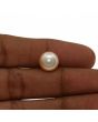 Fresh Water Pearl (Moti) 6.87 Carat 