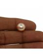 Fresh Water Pearl (Moti) 7.44 Carat 