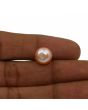 Fresh Water Pearl (Moti) 7.44 Carat 
