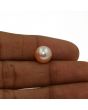 Fresh Water Pearl (Moti) 6.18 Carat 