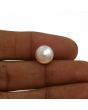Fresh Water Pearl (Moti) 6.18 Carat 