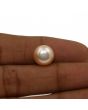 Fresh Water Pearl (Moti) 7.95 Carat 