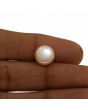 Fresh Water Pearl (Moti) 7.95 Carat 