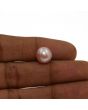 Fresh Water Pearl (Moti) 7.27 Carat 
