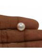 Fresh Water Pearl (Moti) 7.27 Carat 