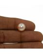 Fresh Water Pearl (Moti) 5.89 Carat 