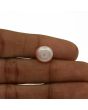 Fresh Water Pearl (Moti) 7.5 Carat 