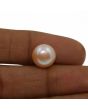 Fresh Water Pearl (Moti) 6.97 Carat 
