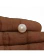 Fresh Water Pearl (Moti) 6.97 Carat 