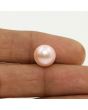 Fresh Water Pearl (Moti) 6.19 Carat 