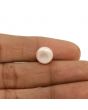 Fresh Water Pearl (Moti) 6.19 Carat 