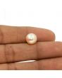 Fresh Water Pearl (Moti) 7.08 Carat 
