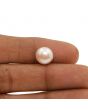 Fresh Water Pearl (Moti) 5.88 Carat 