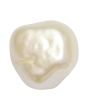 Keshi Fresh Water Pearl 6.36 Carat 
