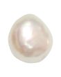 Keshi Fresh Water Pearl 6.66 Carat 