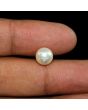 South Sea Pearl (Moti) 4.81 Carat 