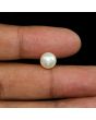 South Sea Pearl (Moti) 4.81 Carat 