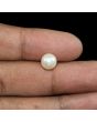 South Sea Pearl (Moti) 4.41 Carat 
