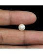 South Sea Pearl (Moti) 4.41 Carat 