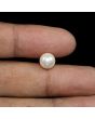 South Sea Pearl (Moti) 4.47 Carat 