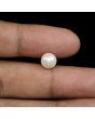 South Sea Pearl (Moti) 4.47 Carat 