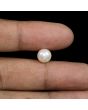 South Sea Pearl (Moti) 4.47 Carat 