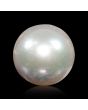 South Sea Pearl (Moti) 5.58 Carat 