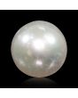 South Sea Pearl (Moti) 5.58 Carat 