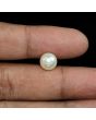 South Sea Pearl (Moti) 5.58 Carat 
