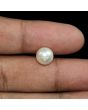 South Sea Pearl (Moti) 5.58 Carat 