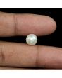 South Sea Pearl (Moti) 5.58 Carat 