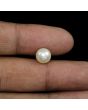 South Sea Pearl (Moti) 4.85 Carat 