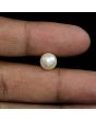 South Sea Pearl (Moti) 4.85 Carat 