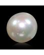 South Sea Pearl (Moti) 5.21 Carat 