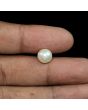 South Sea Pearl (Moti) 5.21 Carat 